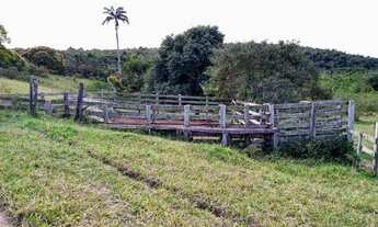 Imagem 2: Fazenda com 19 hectares em São Vicente de Paula