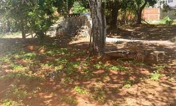 Imagem 3: Lote Bernardo Sayao, Guara Park