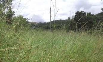 Imagem 6: Chácaras 1.000m² as margens do rio Cipó, com água e luz (Temos varias opções)