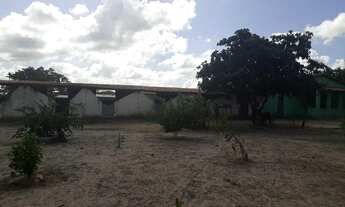 Imagem 3: Excelente Fazenda com 95 hectares na região de vera cruz