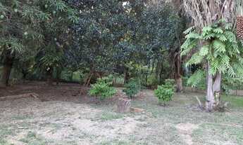 Imagem: Vendo uma Chácara pertinho do Park Ecológico