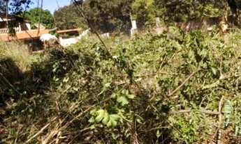 Imagem 7: Vendo Excelente Lote na Ilha Do Mangabal