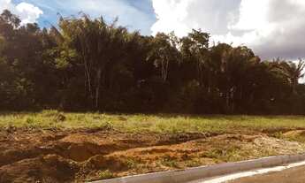 Imagem 5: Village novo Iranduba lotes com parcelas fixas R$450,00 reais a primeira parcela mensal at