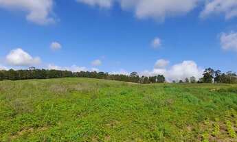 Imagem 3: Lote/Terreno para venda tem 500 metros quadrados em Cotia - SP
