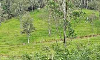 Imagem 3: Sitio Chácara com venda por R$330.000