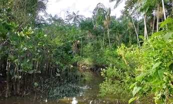 Imagem 4: Vendo Terreno na ilha de Carepetuba em Abaetetuba