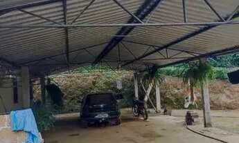 Imagem 3: MT Sítio com café produzindo - Linhares