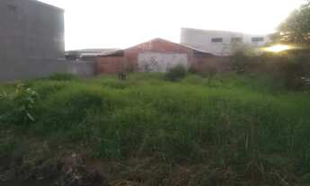 Imagem 6: Ótima oportunidade