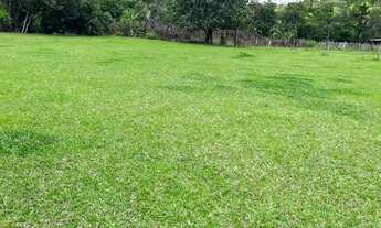 Imagem 3: LL- Vendo terreno de 600m² com documento