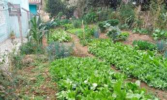 Imagem 6: área - Guedes - Jaguariúna