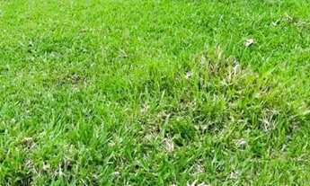 Imagem: LP - Vendo terreno para veraneio