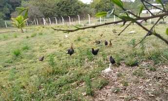 Imagem 3: área - Guedes - Jaguariúna