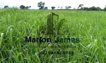 Imagem 2: FAZENDA EM PORANGATU-GO VENDA!