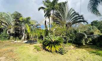 Imagem 4: Chácara - Dois Córregos - Valinhos