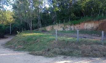 Imagem 6: Terreno plano, a 2,8 km do centro de Pinhalzinho