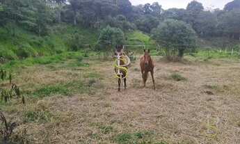 Imagem 4: Área à venda - 11000 m² - para Incorporação - com Escritura - Mairiporã/SP