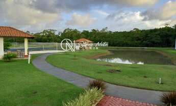 Imagem 4: Condomínio Raízes Marine Residence! lote nascente (documentado)