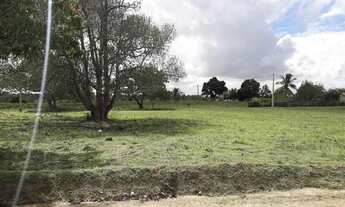 Imagem 3: Terreno de Chácaras em Serrinha