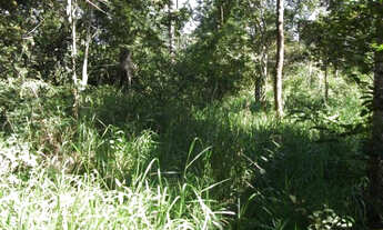 Imagem 6: Fazendinha de 20 mil metros,Jaboticatubas Temos mais opções