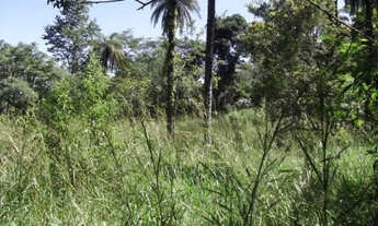 Imagem 5: Fazendinha de 20 mil metros,Jaboticatubas Temos mais opções
