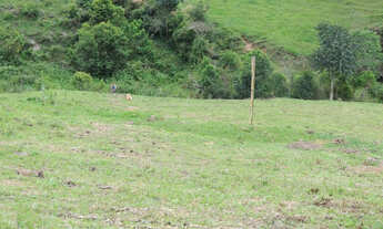 Imagem 6: Sitio 7 Hectares Delfim Moreira /MG Excelente Oportunidade em Permuta!