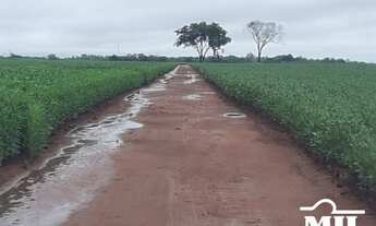 Imagem 4: Fazenda em Silvanopolis-TO. > 391 Alq. (1.894 Há). em Soja