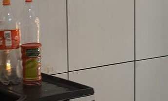 Imagem 6: ALUGO - EXELENTE CASA