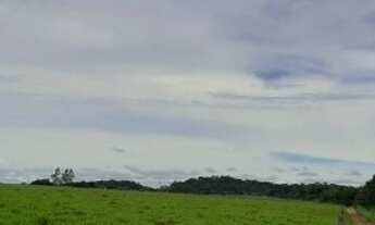 Imagem: Fazenda 205 Alq. (902 Há). Tabocão-TO