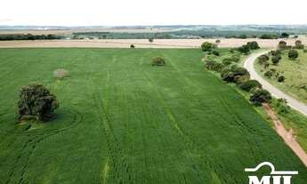 Imagem 7: Chácara 5,5 em Cromínia - GO