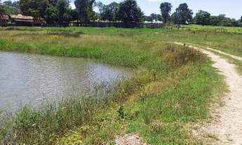 Imagem 3: Fazenda município de Crixás 128 alqueires!!