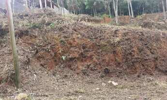 Imagem 2: Lote na Serra da Cantareira KM 12