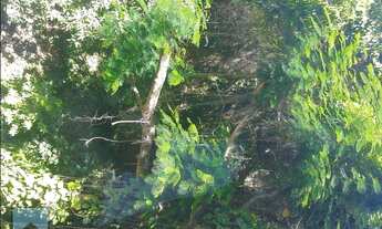 Imagem 5: Apartamento 1 qto, em Icaraí