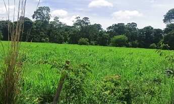 Imagem 6: Fazenda de 120 alqueires em flores Goiás
