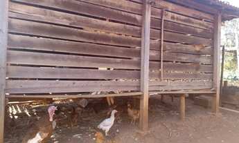 Imagem 7: Sitio Paraiso em Martinho Campos Ótima Casa com Fogão a Lenha