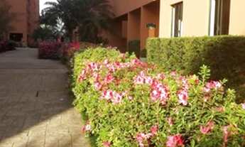 Imagem 4: Apartamento para Locação em São Paulo, Vila do Castelo, 3 dormitórios, 1 banheiro, 1 vaga