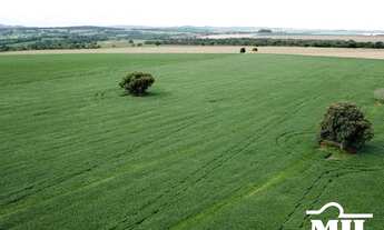 Imagem 2: Chácara 5,5 em Cromínia - GO