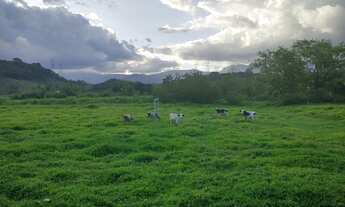 Imagem: Cachoeiras de Macacu RJ 122 (Guapimirim