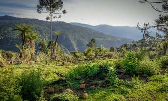 Imagem 3: URUBICI - Morro da Igreja- Lote/Terreno à venda tem 20.000m² - Urubici - SC