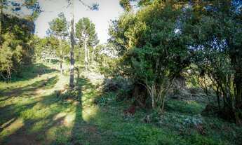 Imagem 6: URUBICI - Morro da Igreja- Lote/Terreno à venda tem 20.000m² - Urubici - SC