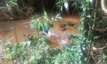 Imagem 4: Chácara 5000 metros