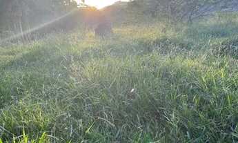 Imagem 2: VENDO MEU TERRENO PÉ NA ÁGUA EM IGARATÁ - SP