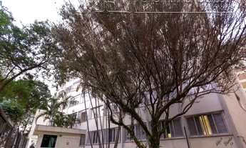 Imagem 2: SãO PAULO - Padrão - Higienópolis