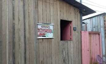 Imagem 2: Casa de madeira no parque verde