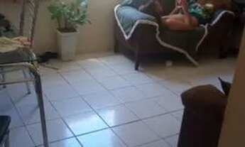 Imagem 3: VENDO APT EM BARRA DE JANGADA