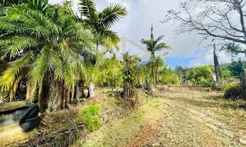 Imagem: Chácara - Dois Córregos - Valinhos