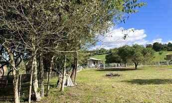 Imagem 7: Chacrinha em Sapiranga