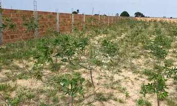 Imagem 4: Chácara , sítio etc?