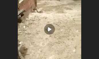 Imagem 3: Casa em Palmacia Ceará Brasil