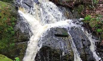 Imagem 6: Sítio (título definitivo)200x2000 com cachoeira em Presidente Figueiredo