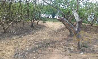 Imagem: área - Vila Capuava - Valinhos